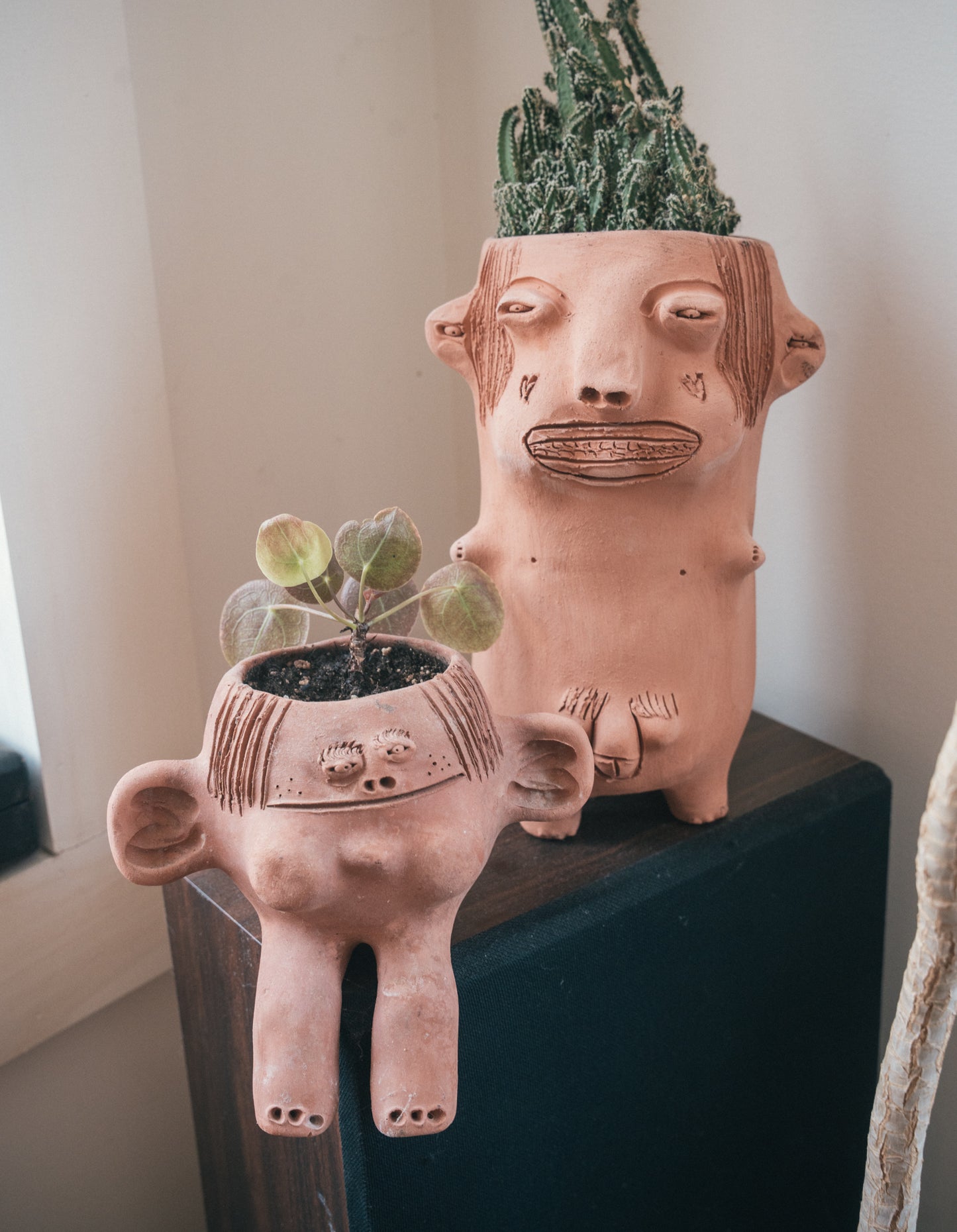 Cara De Planta - Big Penis Planter Guy!