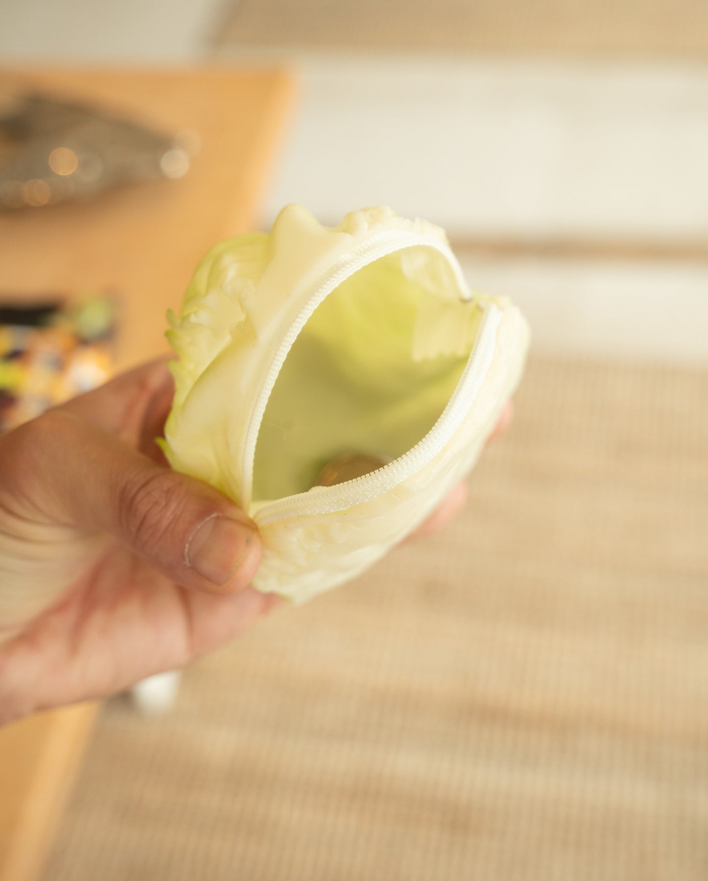Fruit & Vegetable Change Purses