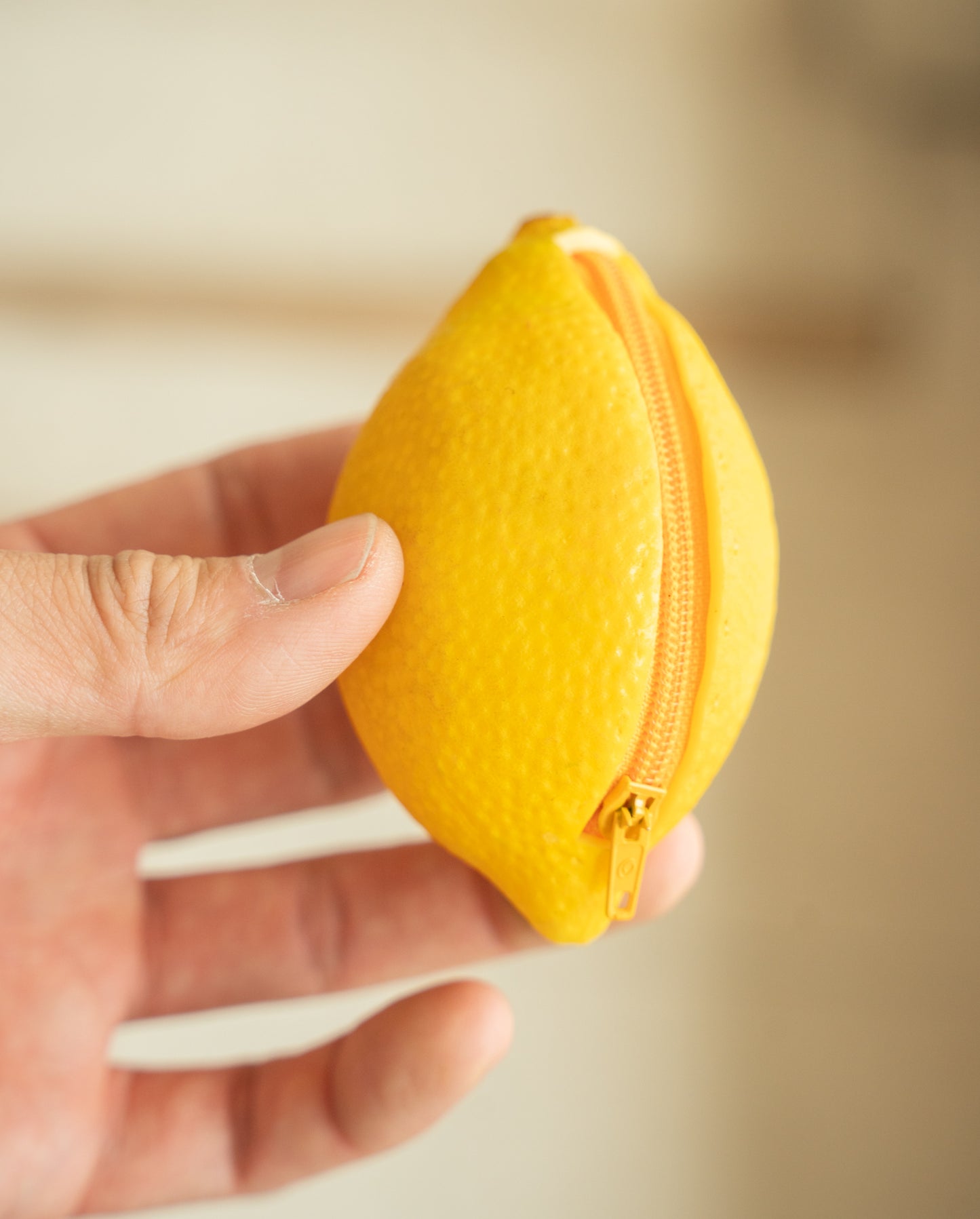 Fruit & Vegetable Change Purses