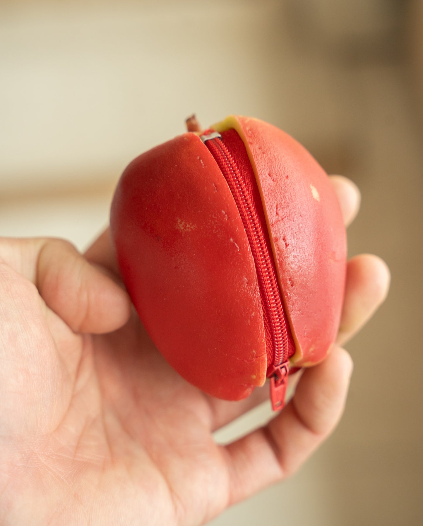 Fruit & Vegetable Change Purses