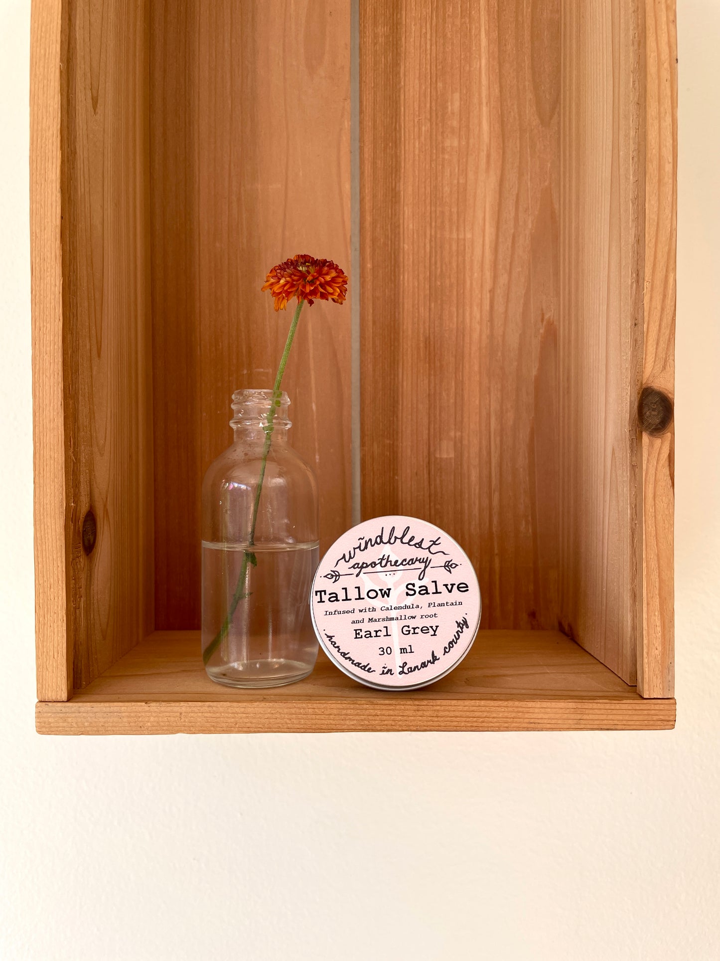 Windblest Tallow Salve