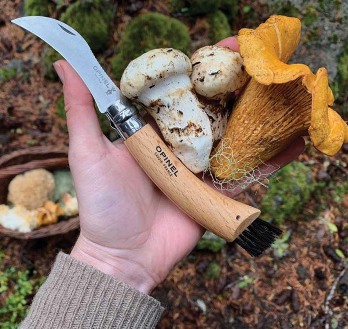 Opinel Mushroom knife