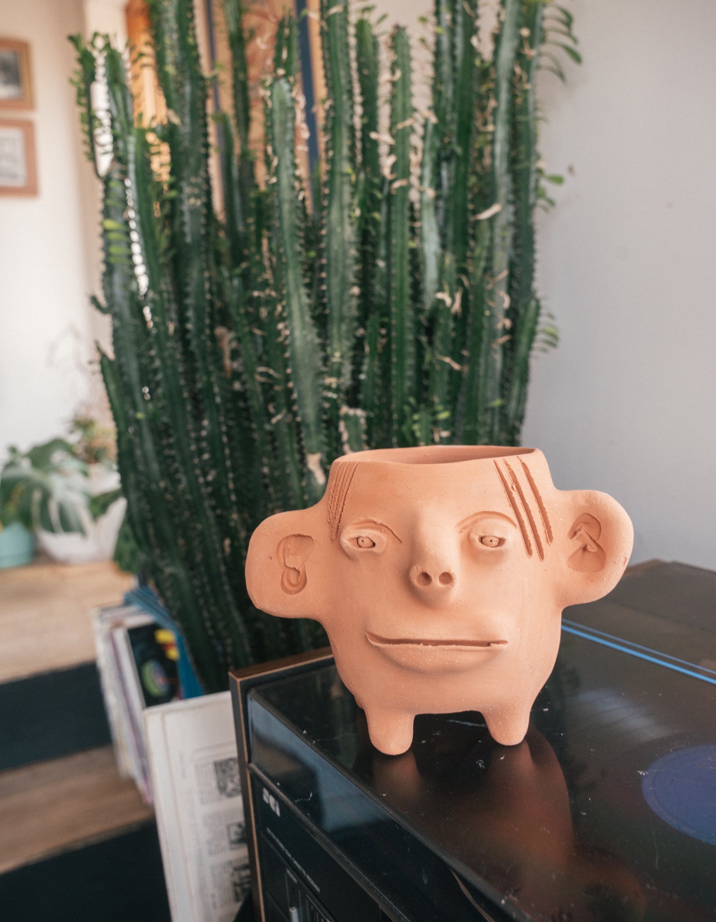 Cara De Planta - 4 Legged, Big Eared Guy! - Segimundo