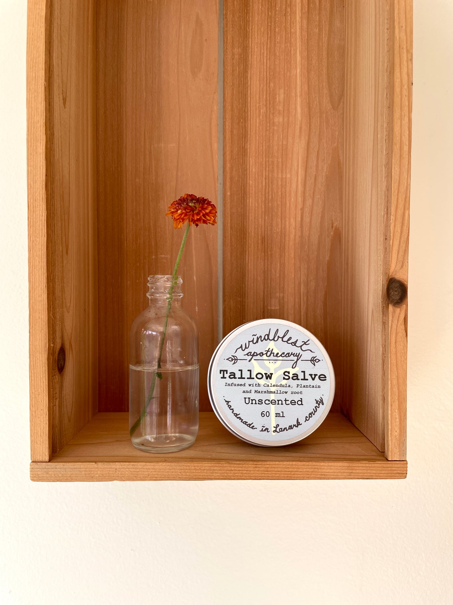 Windblest Tallow Salve