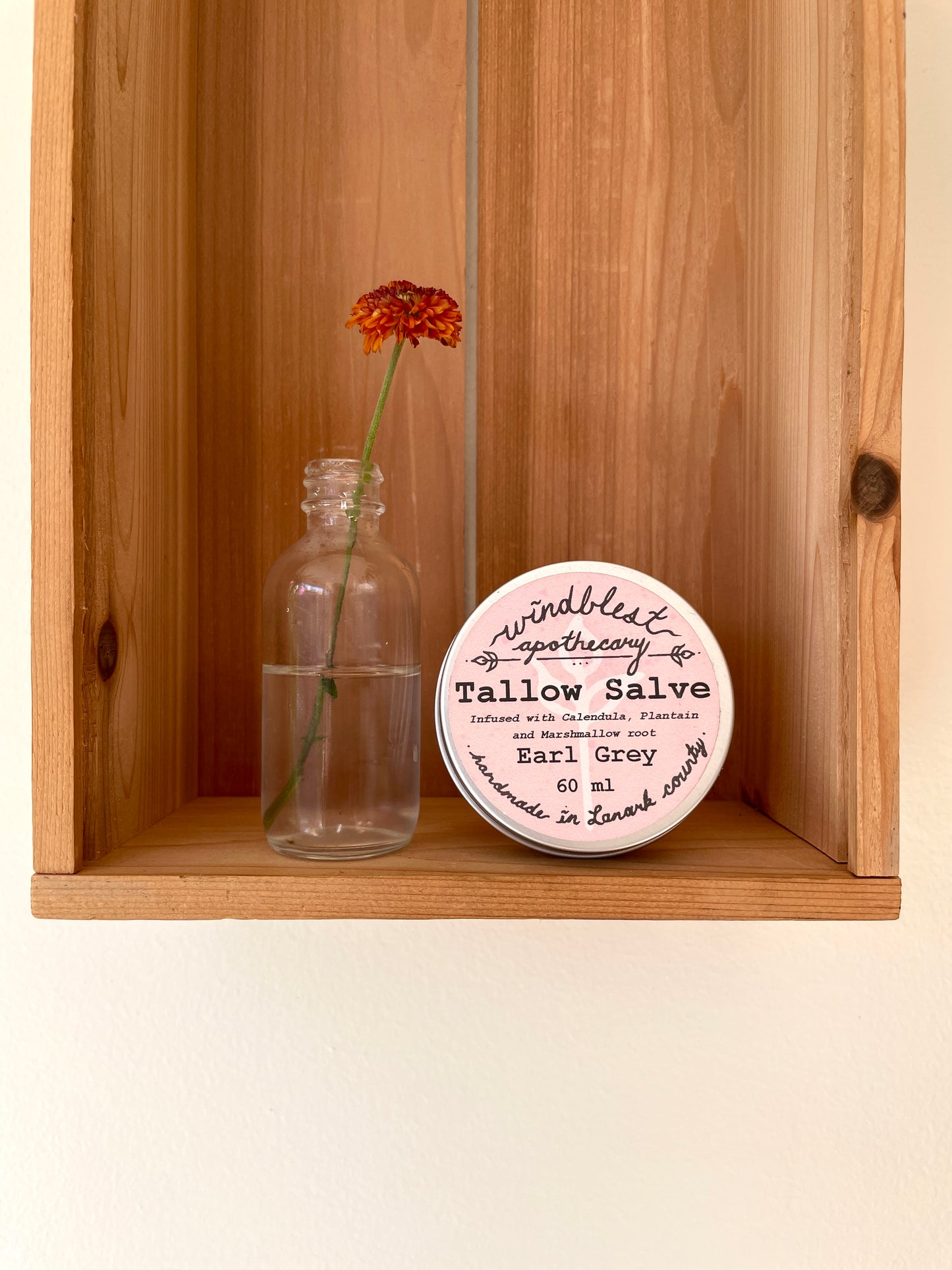 Windblest Tallow Salve