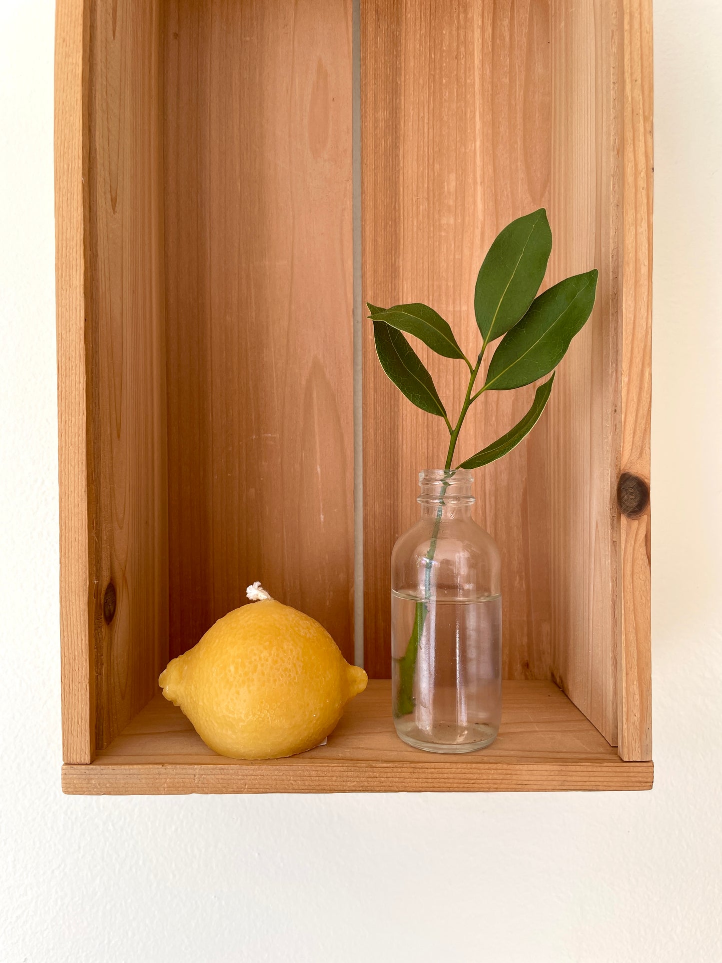 The Wax Studio Limes & Lemons